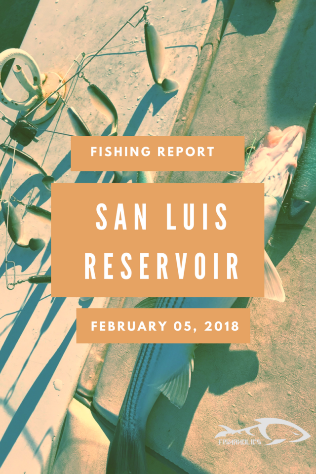 Fishing Report: San Luis Reservoir February 5, 2018